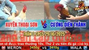 Trận 3 CPC5 29/10/2025 - Anh Xuyên Thoại Sơn Và Anh Cường Diễn Thành