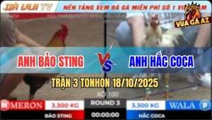 Trận 3 TonHon 18/10/2025 - Anh Bảo Sting Hạ Gốc Bự Campuchia Mau Lẹ