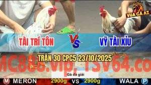 Trận 30 CPC5 23/10/2025 - Anh Tài Trí Tôn Gặp Anh Vỹ Tài Xỉu
