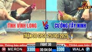 Trận 30 CPC6 26/10/2025 - Phút 90 Gà Cú Gồng Hết Nổi Bung Chạy