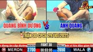 Trận 30 CPC6 29/10/2025 - Bông Sáng Nở Chiều Tàn Sau 3 Tay Nước