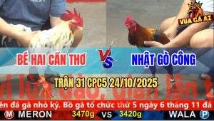 Trận 31 CPC5 24/10/2025 - Anh Bé Hai Cần Thơ Và Anh Nhật Gò Công