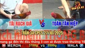 Trận 34 CPC5 27/10/2025 - Anh Tài Rạch Giá Và Anh Toàn Tân Hiệp
