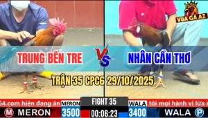 Trận 35 CPC6 29/10/2025 - Xanh Bông Mồng Lá Đá Mấy Chân Xanh Té Xỉu