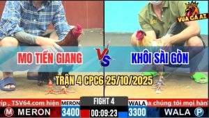 Trận 4 CPC6 25/10/2025 - Camelo Anh Khôi Nuốt Ói Đâm Điều Mật Nằm Đống