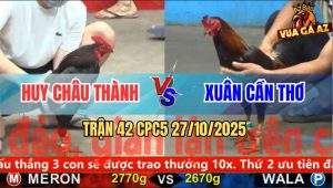 Trận 42 CPC5 27/10/2025 - Anh Huy Châu Thành Và Anh Xuân Cần Thơ