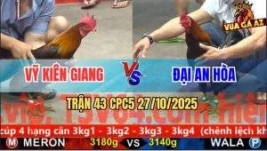 Trận 43 CPC5 27/10/2025 - Anh Vỹ Kiên Giang Và Anh Đại An Hòa