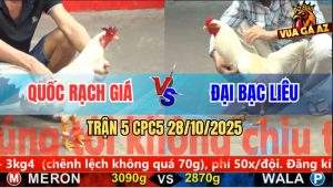 Trận 5 CPC5 28/10/2025 - Anh Quốc Rạch Giá Và Anh Đại Bạc Liêu
