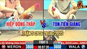 Trận 5 CPC6 28/10/2025 - Úa Khôn Giạt Giạt Chăn Mấy Cây Gà Xám Lên Dĩa