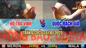 Trận 6 CPC5 24/10/2025 - Anh Hồ Trà Vinh Và Anh Quốc Rạch Giá