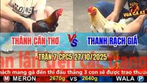 Trận 7 CPC5 27/10/2025 - Anh Thành Cần Thơ Và Anh Thanh Rạch Giá