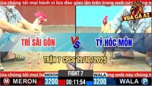 Trận 7 CPC6 19/10/2025 - Gà Bướm Anh Tý Hóc Môn Đá Toàn Đâm Đầu Cần
