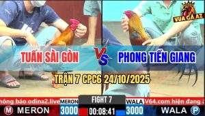 Trận 7 CPC6 24/10/2025 - Gà Que Áp Sát Vàng Đuôi Lao Gỡ Kịa Hông Kịp