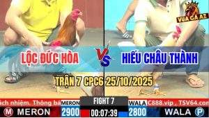 Trận 7 CPC6 26/10/2025 - Úa Đá Điều Đúng 2 Chân Bưng Ra Ngoài Nhanh Lẹ