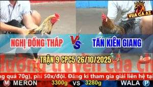 Trận 9 CPC5 26/10/2025 - Nghị Đồng Tháp Và Anh Tấn Kiên Giang