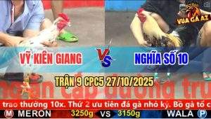 Trận 9 CPC5 27/10/2025 - Anh Vỹ Kiên Giang Và Anh Nghĩa Số 10
