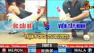 Trận 9 CPC6 25/10/2025 - Bướm Vô Ẩu Sụp Cây Gãy Giò Bò Về Không Được