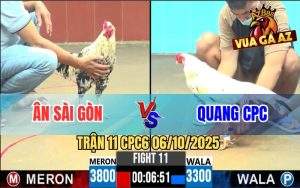 Trận 11 CPC6 6/10/2025