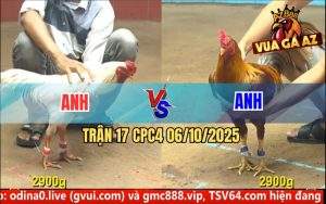 Trận 17 CPC4 6/10/2025