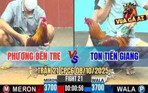 Trận 21 CPC6 8/10/2025