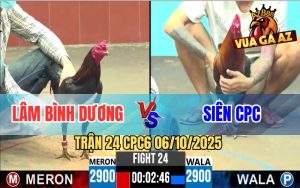 Trận 24 CPC6 6/10/2025