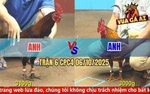 Trận 6 CPC4 6/10/2025