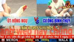 Trận 10 CPC5 5/11/2025 - Anh Út Hồng Ngự Và Anh Cường Bình Thủy