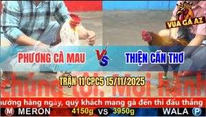 Trận 11 CPC5 15/11/2025 - Anh Phương Cà Mau Và Anh Thiện Cần Thơ