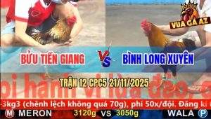 Trận 12 CPC5 21/11/2025 - Gà Khét Anh Bình Đá Hay Nhưng Cái Nết Thì Dở