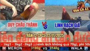 Trận 12 CPC5 22/11/2025 - Gà Anh Linh Chạy Cũng Không Thoát Khỏi Án Tử