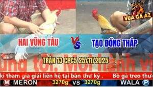 Trận 13 CPC5 25/11/2025 - Anh Hai Và Anh Tạo Ngang Tài Ngang Sức