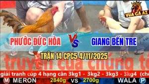 Trận 14 CPC5 4/11/2025 - Anh Phước Đức Hòa Và Anh Giang Bến Tre