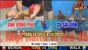 Trận 14 CPC5 8/11/2025 - Anh Đông Pha Và Anh Cu Sài Gòn