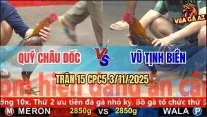 Trận 15 CPC5 3/11/2025 - Anh Quý Châu Đốc Và Anh Vũ Tịnh Biên