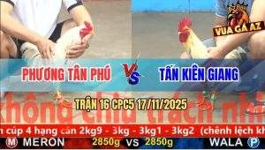 Trận 16 CPC5 17/11/2025 - Bướm Xanh Đâm Cựa Quá Nghiệt Đỏ Lọt Quẹo Cổ