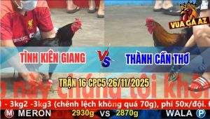 Trận 16 CPC5 26/11/2025 - Gà Ô Anh Tình Đâm Gà Que Té Lên Té Xuống