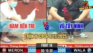 Trận 16 CPC6 4/11/2025 - Điều Chân Xanh Đâm Bướm Anh Nam Tai Biên