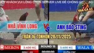 Trận 16 TonHon 28/11/2025 - Gà Vàng Anh Bảo Sting Quay Xe Phút 89