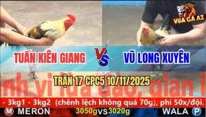 Trận 17 CPC5 10/11/2025 - Anh Tuấn Kiên Giang Và Anh Vũ Long Xuyên