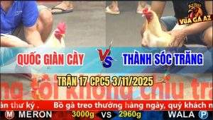 Trận 17 CPC5 3/11/2025 - Anh Quốc Giàn Cày Và Anh Thành Sóc Trăng