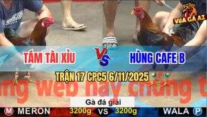 Trận 17 CPC5 6/11/2025 - Anh Tám Tài Xỉu Gặp Anh Hùng Cafe B