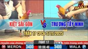 Trận 17 CPC6 5/11/2025 - Gà Khét Anh Trương Đá Tăng Đủ Bo Lấy Tiền