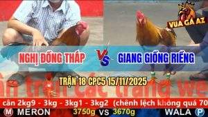 Trận 18 CPC5 15/11/2025 - Anh Nghị Đồng Tháp Và Anh Giang Giồng Riềng
