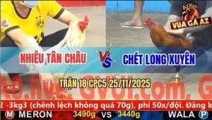 Trận 18 CPC5 25/11/2025 - Gà Bướm Anh Nhiễu Đá Bát Một, Điều Lật Xe