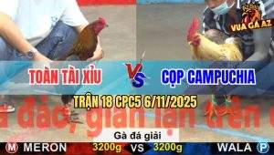 Trận 18 CPC5 6/11/2025 - Anh Toàn Tài Xỉu Gặp Anh Cọp Campuchia