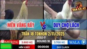 Trận 18 TonHon 2/11/2025 - Gà Chuối Anh Mễn Hạ Bướm Anh Duy 1 Nốt Nhạc