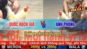 Trận 19 CPC5 15/11/2025 - Anh Quốc Rạch Giá Và Anh Phong