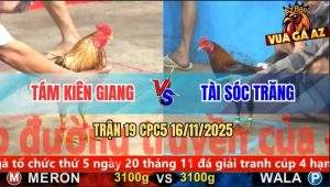 Trận 19 CPC5 16/11/2025 - Anh Tám Kiên Giang Và Anh Tài Sóc Trăng