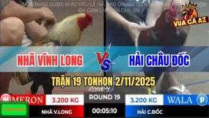 Trận 19 TonHon 2/11/2025 - Chuối Bú Cây Lưng Que Ói Bung Chạy