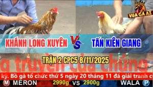 Trận 2 CPC5 8/11/2025 - Anh Khánh Long Xuyên Và Anh Tấn Kiên Giang